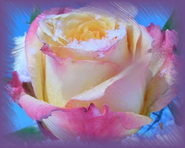 Татьяна Пронина