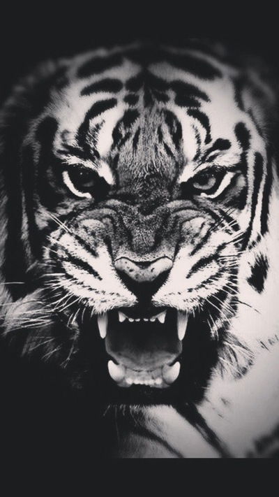 Саид Абдукадыров