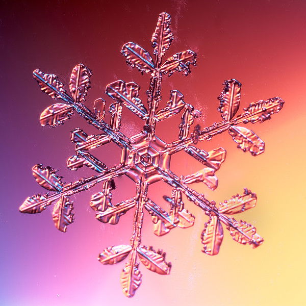 Аурика Иценко