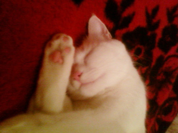 Наталья Грицына