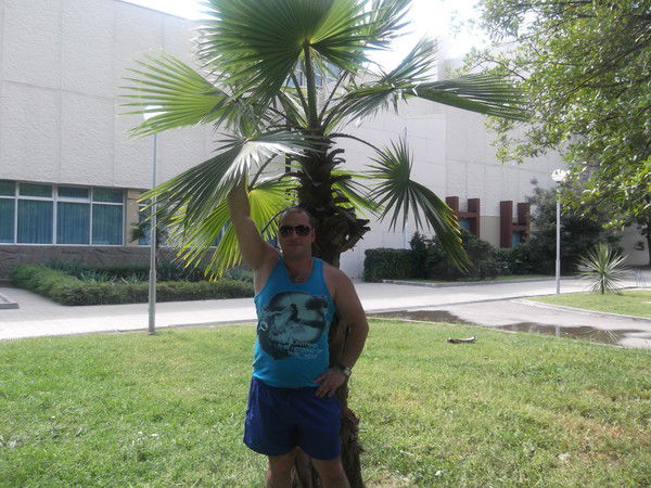 Александр Мощенко