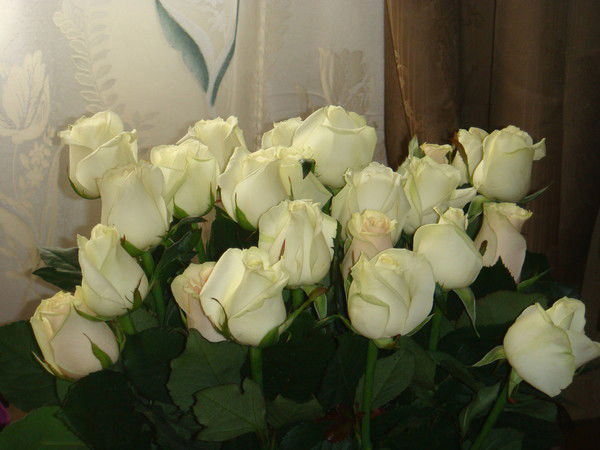 Татьяна Волкова