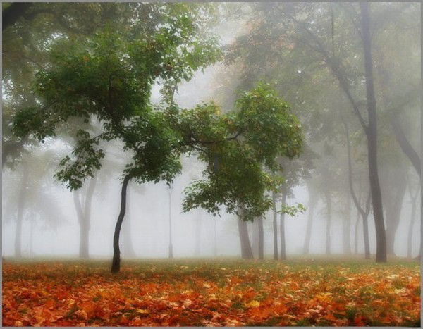 Елена Садикова