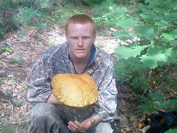 Роман Акимов