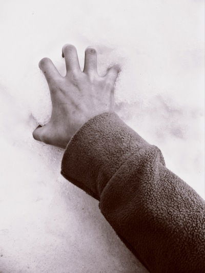 Александра Дронова