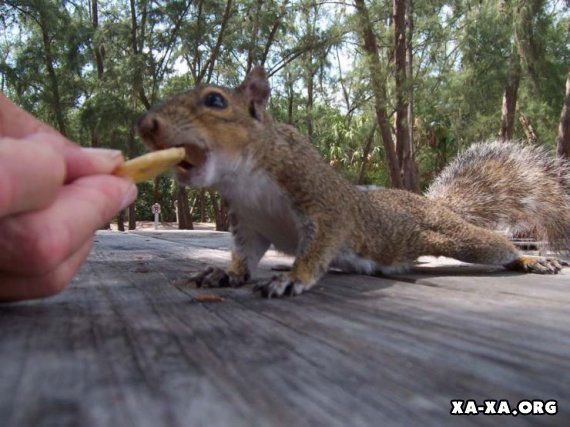 Алексей Долгов