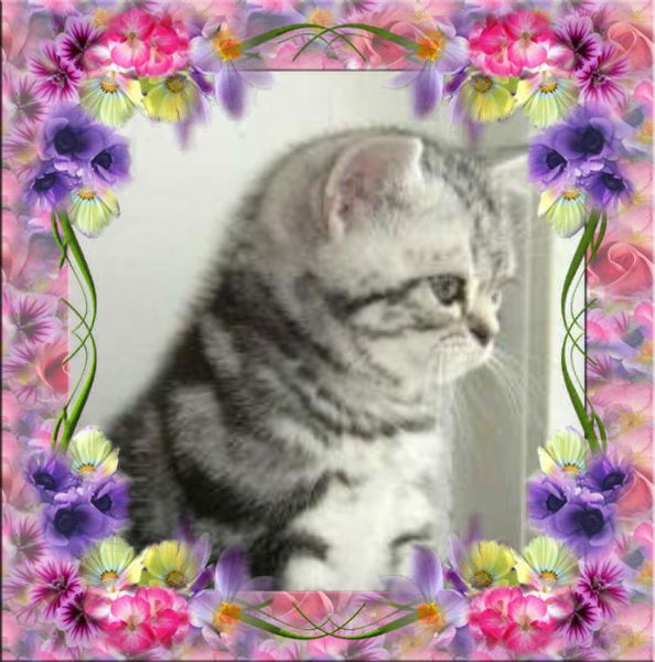 Зиля Хакимова