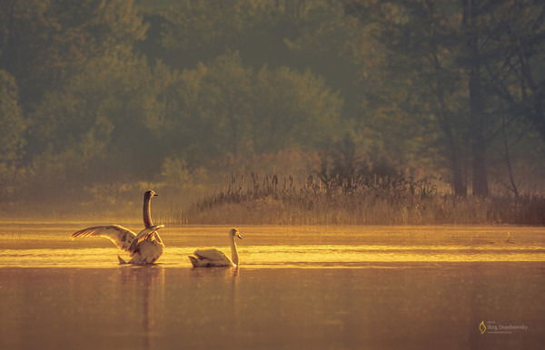 Вика Григорьева