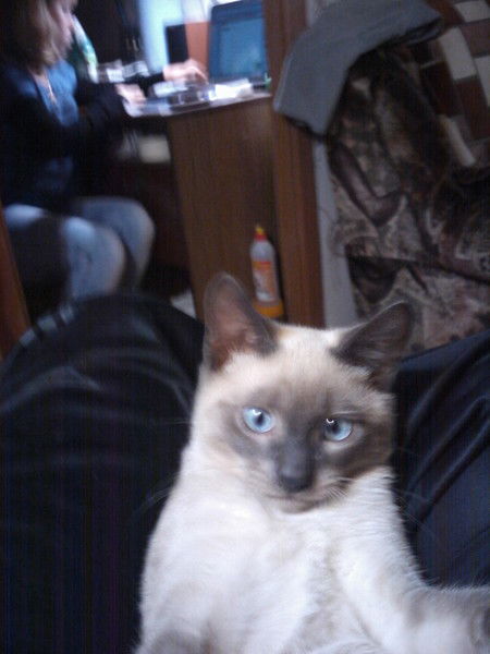 Виктор Мурашов