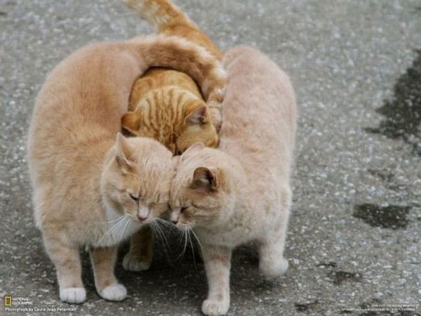 Оксана Лукьяненок