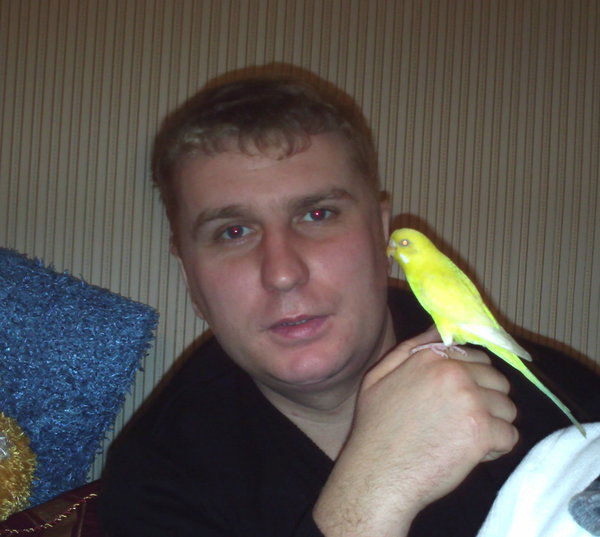 Владимир Гофман