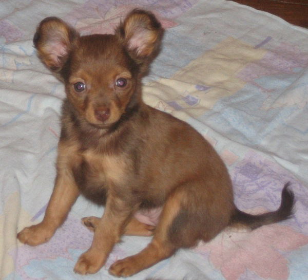 Анна Иванова