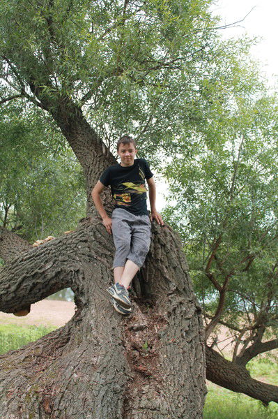 Алексей Безгодов