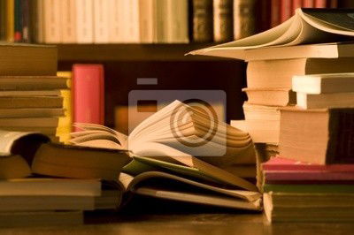 Елена Кулькова