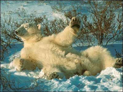 Ахат Ахатыч