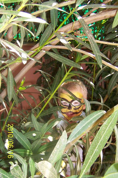 Ольга Навалова