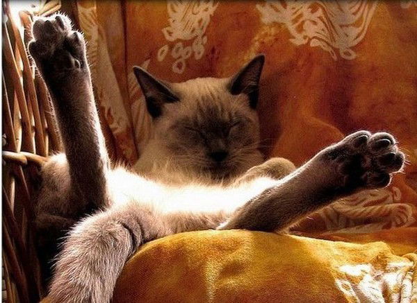 Ким Евгений