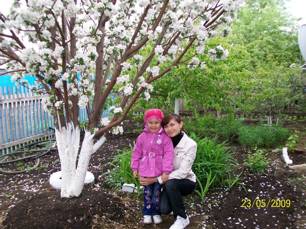 Гульсина Габдрахманова