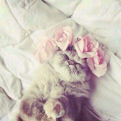 Маша Романова