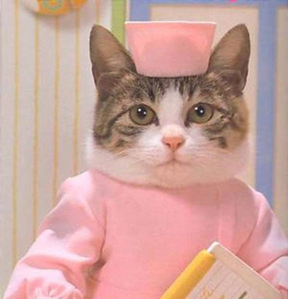 Светлана Кваша