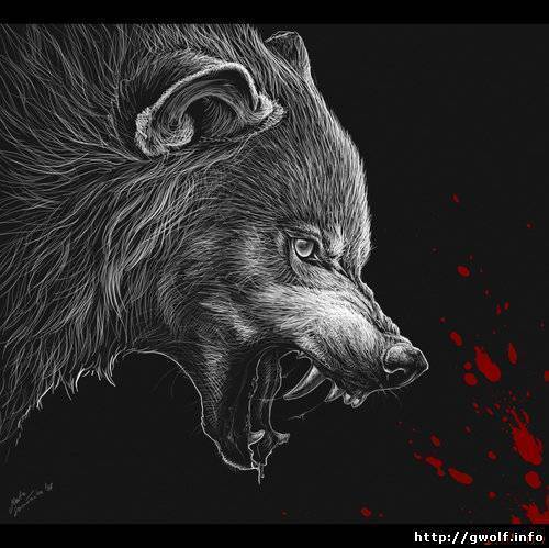 Данил Наливайко