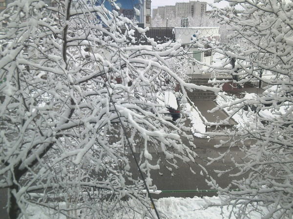 Дмитрий Миронов