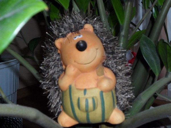 Юлия Сизова