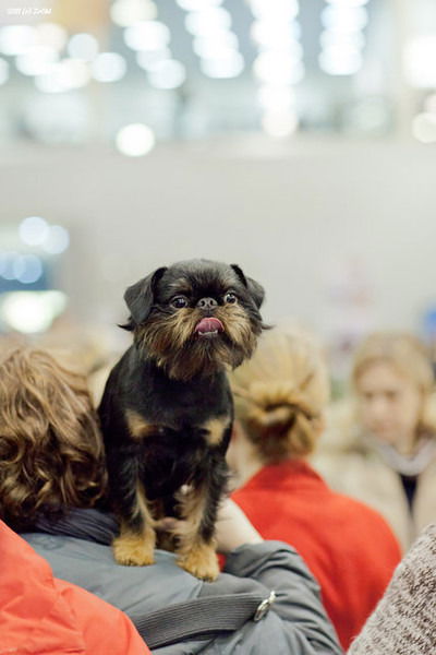 Ирина Кудряшова