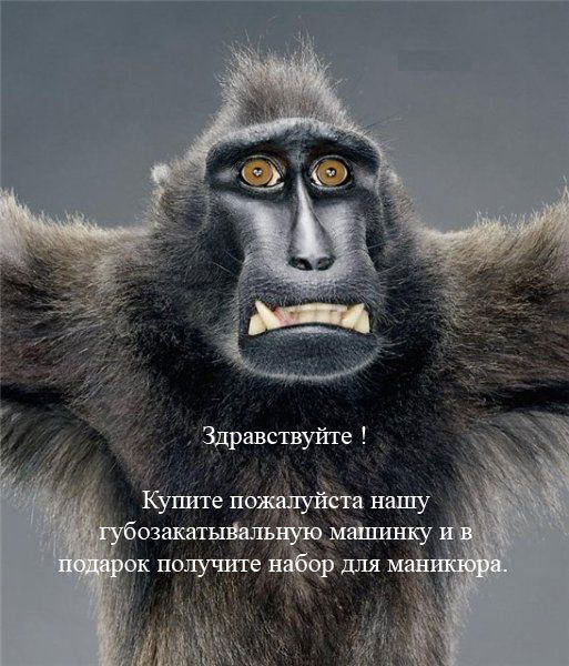 Сергей Козлов