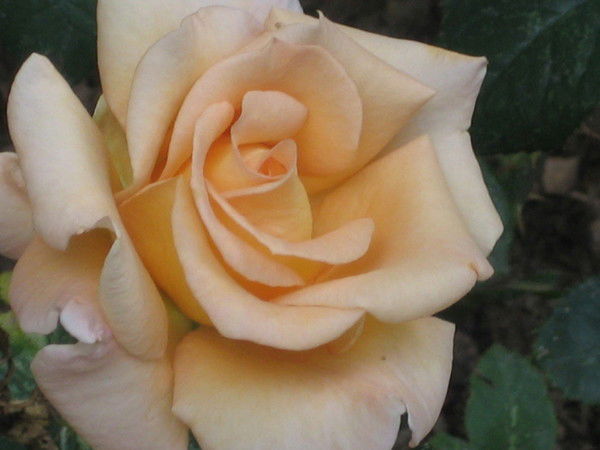 Ирина Касымова