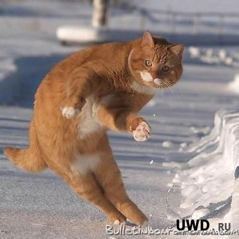 Владимир Астраханцев