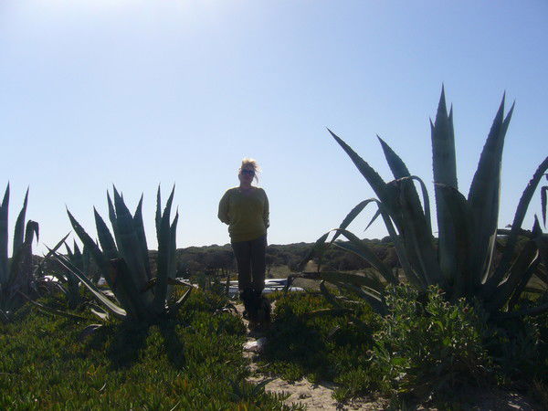 Татьяна Журавушка