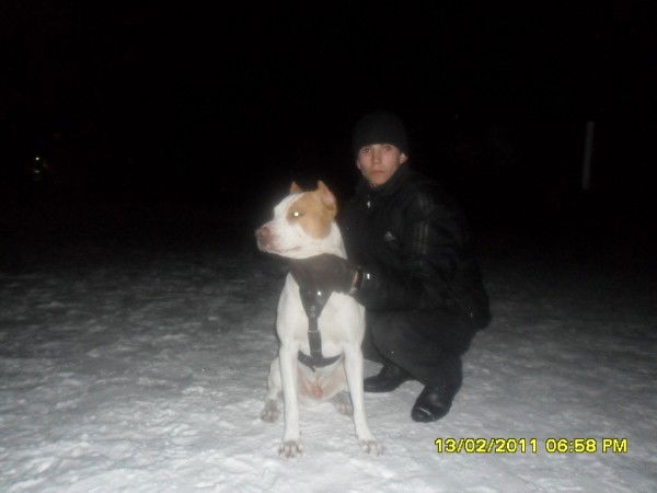 Мельников Андрей