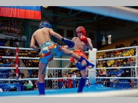 Жан Баярисов