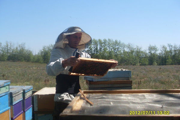 Владимир Бабкин