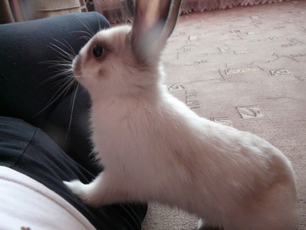 Анастасия Малярова