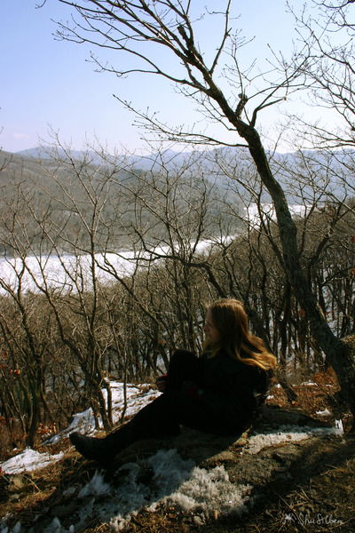 Сергей Курский