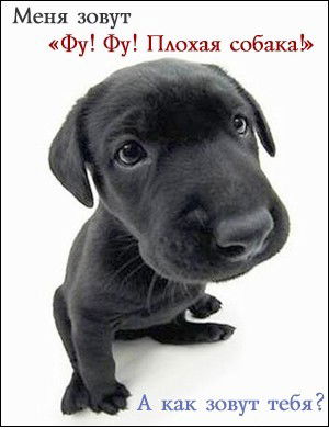 Дима Агапитов