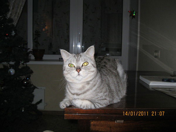 Марина Силантьева