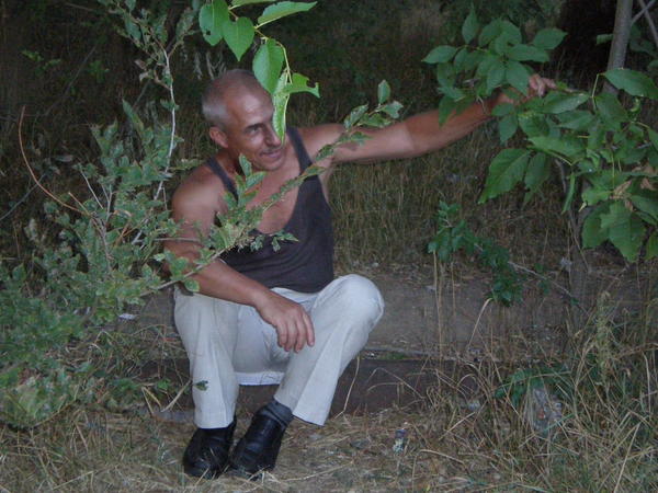 Шевкет Меметов