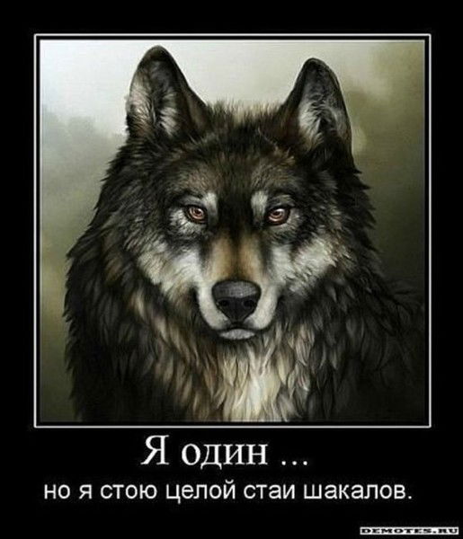 Алексей Чуев