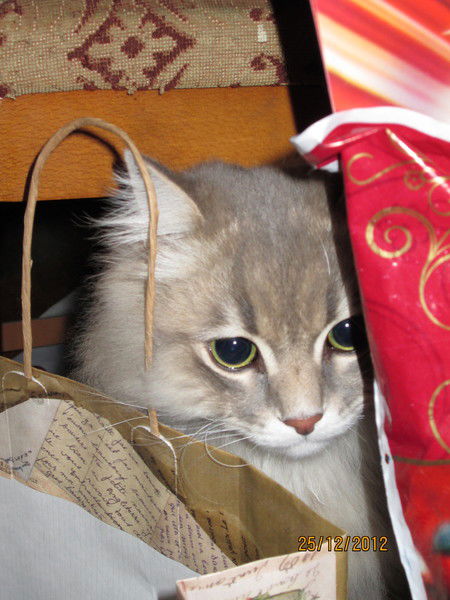 Марина Карташова