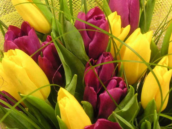 Алия Кенжина