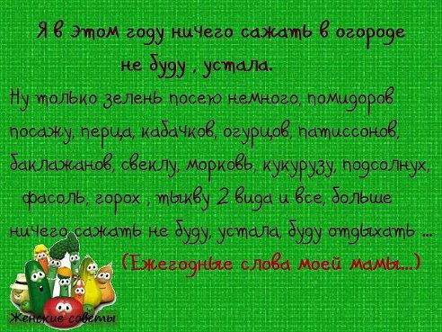 Светлана Токарева