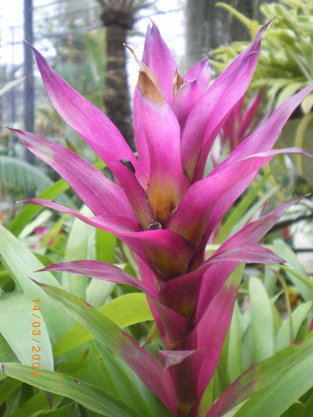 Канагат Тулеусаринов