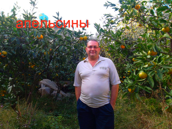 Виталий Медведев