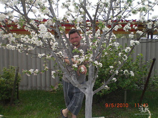 Алексей Ершов