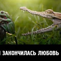 Евгений Фарц