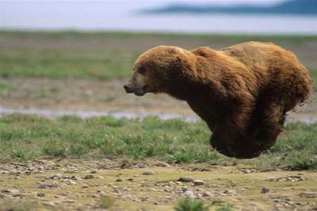 Виталий Мишуров