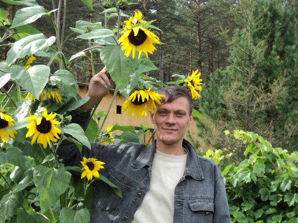 Максим Бессараб